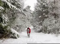 The Stables Cottage Aboyne Royal Deeside