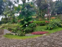 Hotel Anita Baturaden Hotels in Kemutug Lor