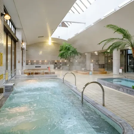 Sagayamato Onsen Hotel Amandi
