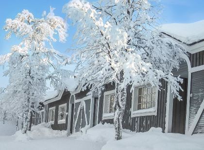 Tunturikuksa