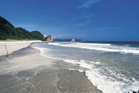 American House Cozy Отели в г. Симода