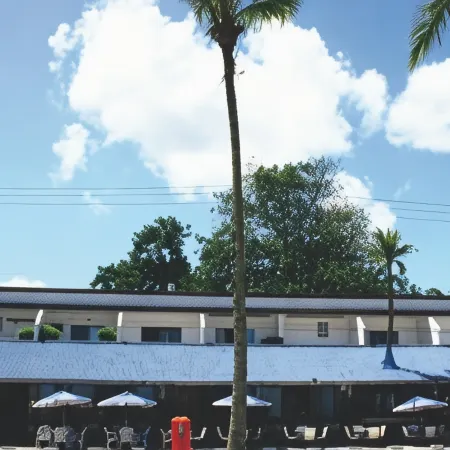 Delphin Beach Hotel Отели рядом с достопримечательностью «Пляж Энсеада»