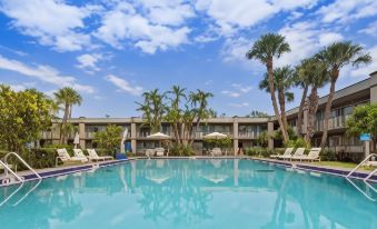 Best Western Downtown Stuart