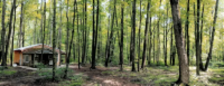 Cabin in the woods. Minutes to Pymatuning Lake.