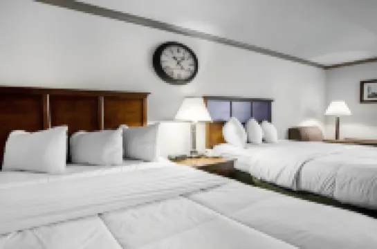 Ramada by Wyndham Birmingham Airport Hotels in 