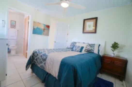 Palm Place 2-bedroom condo in Frigate Bay with WiFi, AC, close to all amenities Hotels in 