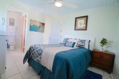 Palm Place 2-bedroom condo in Frigate Bay with WiFi, AC, close to all amenities Hotels near Cockleshell Bay