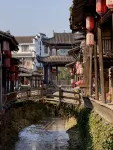 Immersing · Yunzhu Meiyuan (Wuyishan Impression Dahongpao) - Pet friendly