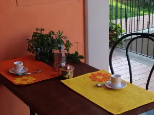 Le Ortensie