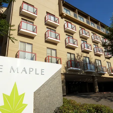 Maple Arima