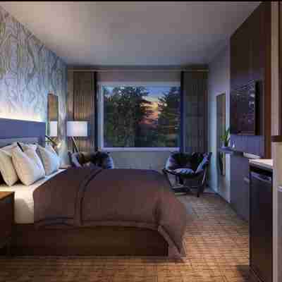 Hotel Zed Tofino Rooms
