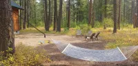 Alpine Woods cabin close to trails, ski in/out