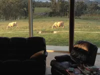 Donegal Farmstay Hotels in Tenterfield