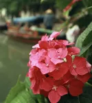 Yinjiangnan Xujia Hostel