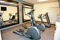 Hampton Inn and Suites Fultondale Birmingham I 65 - Gym
