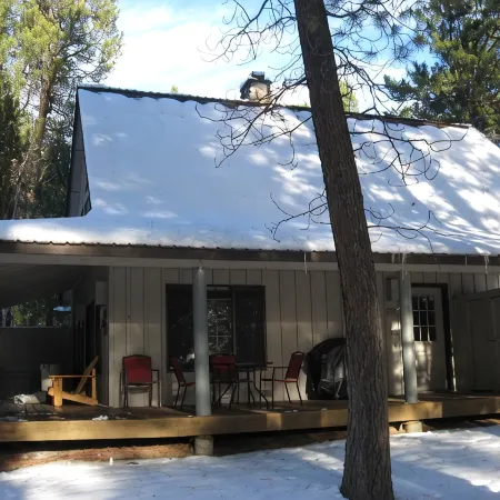 Pet Friendly Circle 4 Cabin And People Friendly As Well