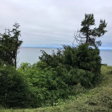 Water View Home, and private beach access, Quiet with Nature trails