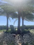 Beautiful Bokeelia!!!! Fishing dream! Bring your boat and your dog - WiFi