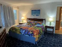 Oceanfront All A Round Views - Pet Friendly!