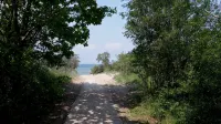 Haus zum Strand "muschel" Inmitten Schöner Natur Unweit vom Strand in Barendorf - Wifi