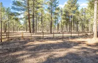 Pinewood Lodge / Backs to Forest / Near Downtown! - อ่างจากุชชี่