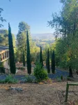 Stay surrounded by Fitch Mountain Park and Open Space Preserve. - Villas