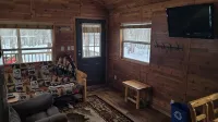 Petoskey - Quaint Cabin in a secluded wooded setting.