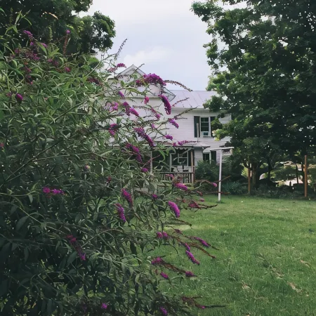 Quaint Home in Lexington