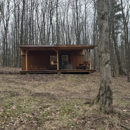 Cozy cabin in Julian PA