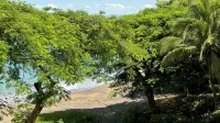 Villa Mariposa N°10 - Luxury Beachfront Escape, Private, Steps to Beach & Pool - de playa