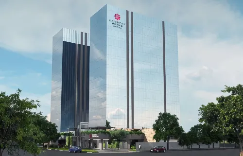 Krystal Grand Suites Insurgentes - Yolcu Alma/Bırakma Hizmetleri