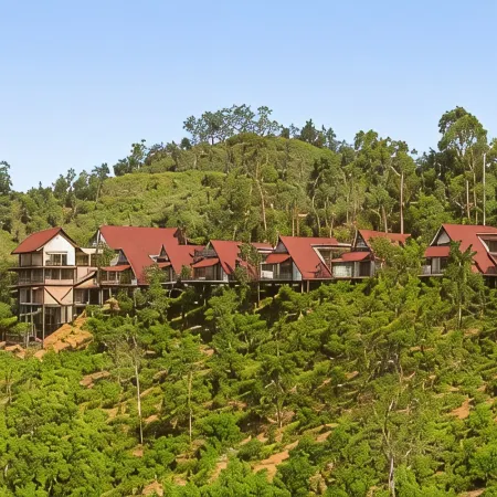 Anasa Wellness Resort