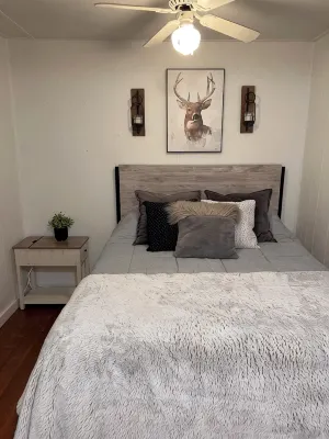 Cool cabin with AC in charming Pine