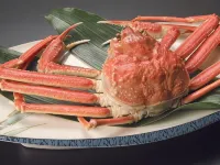 Awaraonsen Hakuwaso โรงแรมใกล้สถานีฮนโจ