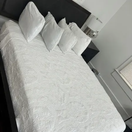 Renovated Peaceful Luxury Walk to Mall Park Publix
