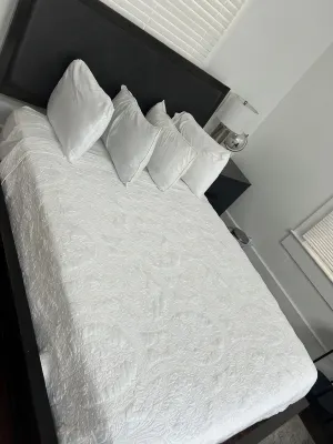 Renovated Peaceful Luxury Walk to Mall Park Publix - 4-Star