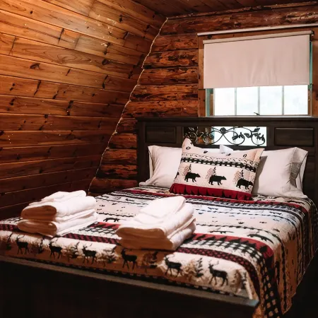 Afton Cabin Hotele w: Chenango County