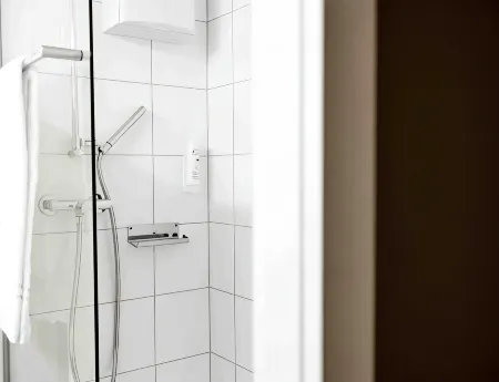Ibis Zurich Adliswil