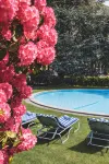 Garni Elena - Pool