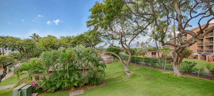 Ocean view, fully remodeled, 2nd floor, few steps away from the best beaches キヘイのホテル