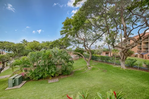 Ocean view, fully remodeled, 2nd floor, few steps away from the best beaches - プール