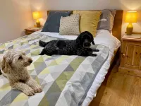 Weaver’s Den, a cosy countryside retreat - Wifi