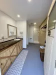 德克薩斯州瑞士阿爾普小屋 - 小木屋