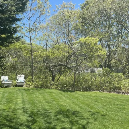 The Costal Corner - Martha's Vineyard