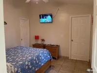 TAMPA FLORIDA VACATION DELIGHT - Homestays