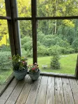 The Finch Cottage Charming 2-bedroom cottage  Historical District Mount Airy - 3-Star