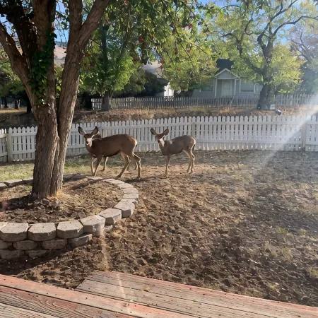 Whitetail cottage! 🦌 Spacious home with game room. Near OIT and SkyLakes.