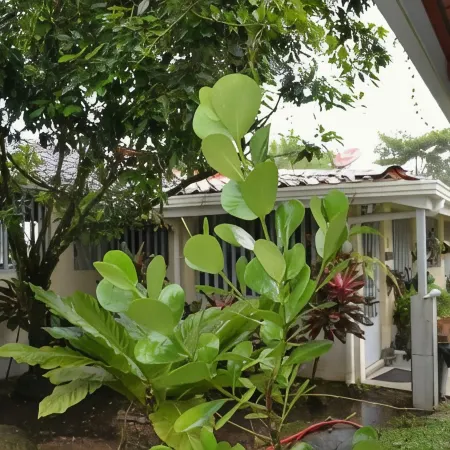 Casa Sophia