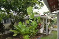 Casa Sophia - Apartments