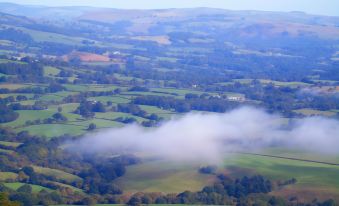 Pwllgwilym B & B